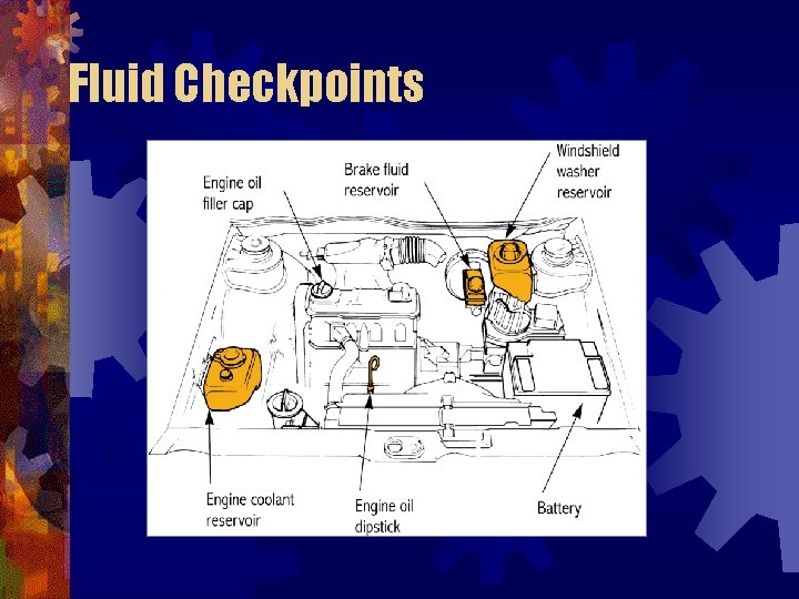Fluid Checkpoints 