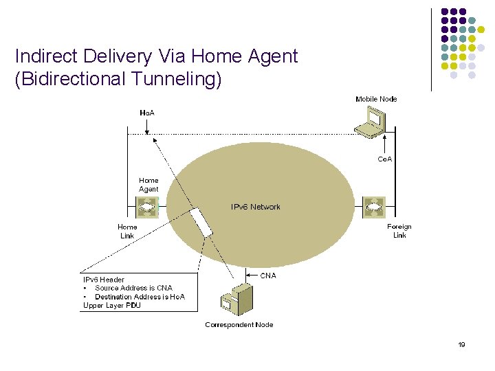 Indirect Delivery Via Home Agent (Bidirectional Tunneling) 19 