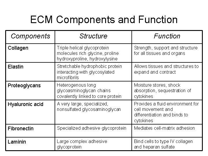 ECM Components and Function Components Structure Function Collagen Triple helical glycoprotein molecules rich glycine,