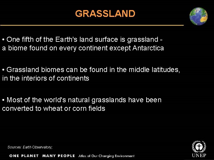 GRASSLAND • One fifth of the Earth's land surface is grassland a biome found