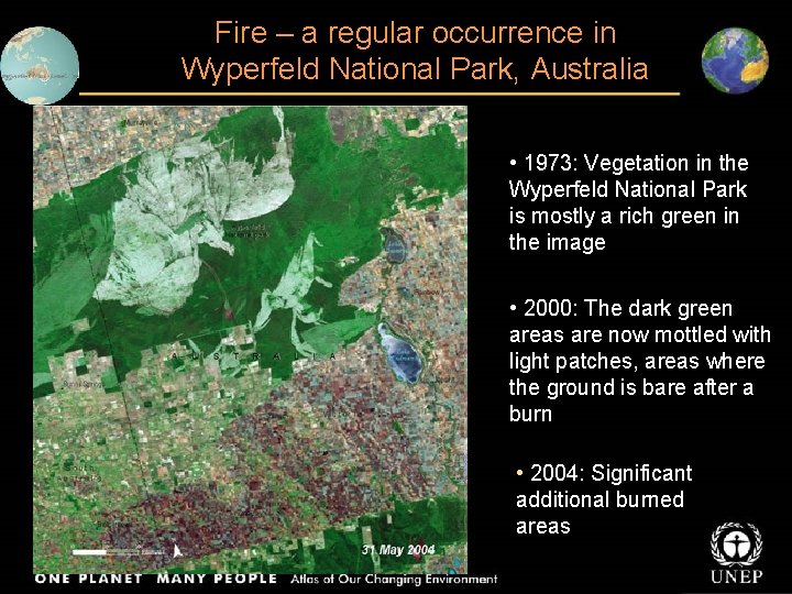 Fire – a regular occurrence in Wyperfeld National Park, Australia • 1973: Vegetation in