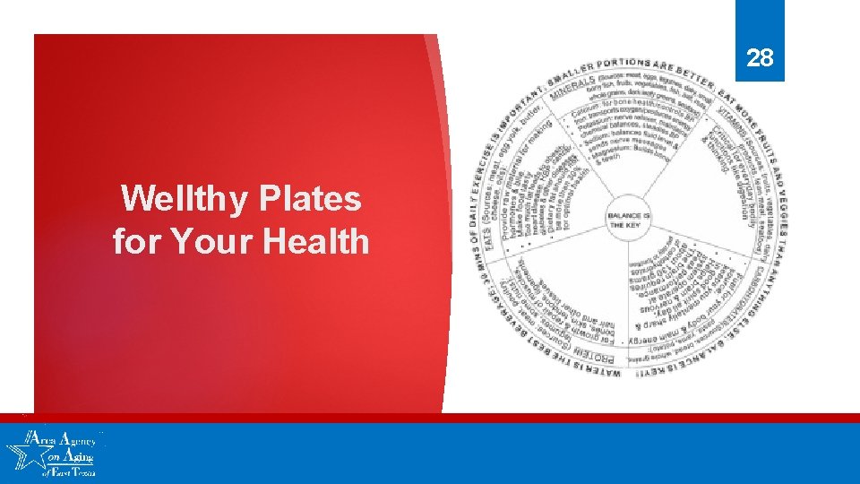 28 Wellthy Plates for Your Health 