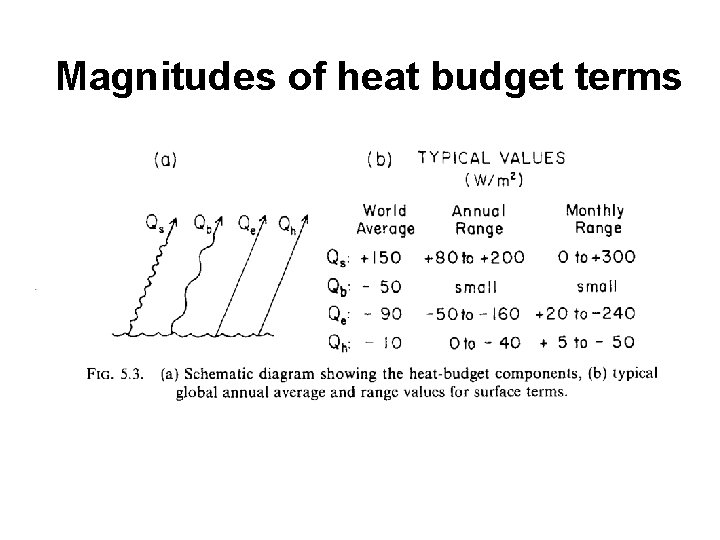 Magnitudes of heat budget terms 