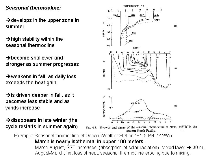 Seasonal thermocline: develops in the upper zone in summer. high stability within the seasonal