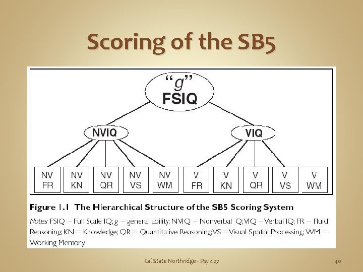 Scoring of the SB 5 Cal State Northridge - Psy 427 40 