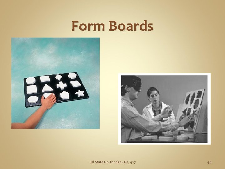 Form Boards Cal State Northridge - Psy 427 46 