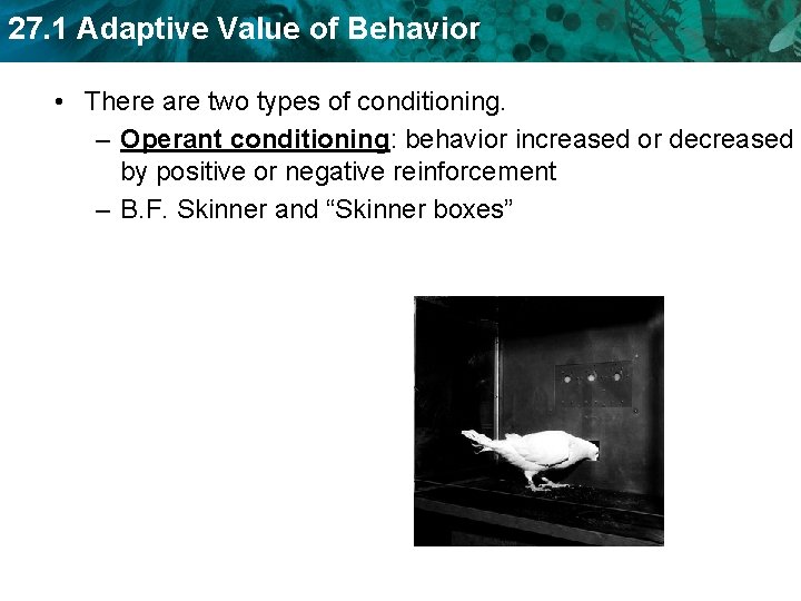 27. 1 Adaptive Value of Behavior • There are two types of conditioning. –