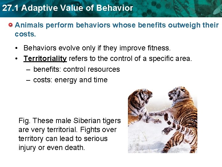 27. 1 Adaptive Value of Behavior Animals perform behaviors whose benefits outweigh their costs.