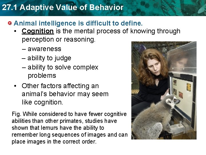27. 1 Adaptive Value of Behavior Animal intelligence is difficult to define. • Cognition