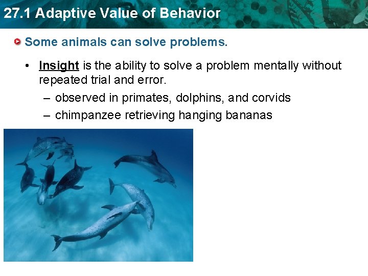 27. 1 Adaptive Value of Behavior Some animals can solve problems. • Insight is