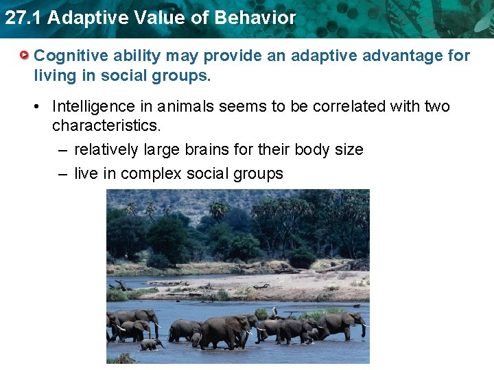 27. 1 Adaptive Value of Behavior Cognitive ability may provide an adaptive advantage for