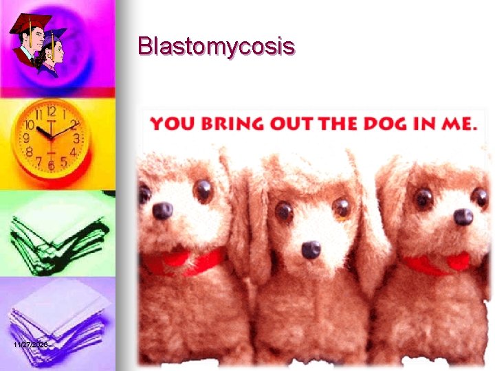 Blastomycosis 11/27/2020 Professor Sameer Bafaqeeh 42 