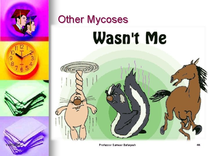 Other Mycoses 11/27/2020 Professor Sameer Bafaqeeh 44 