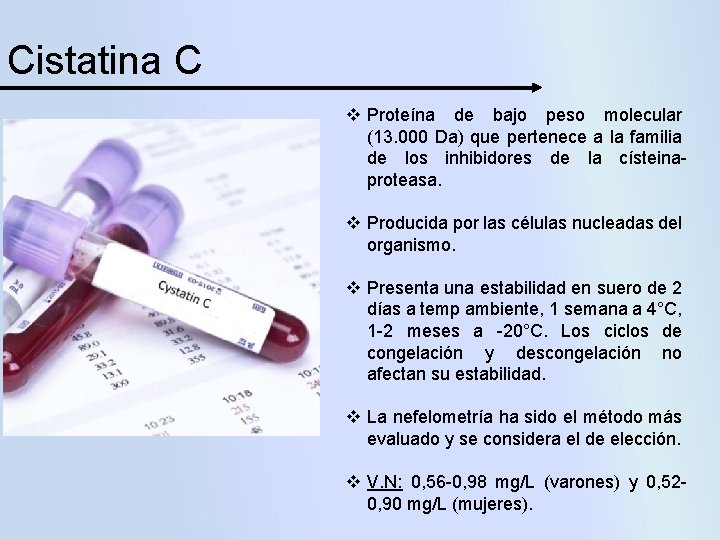 Cistatina C v Proteína de bajo peso molecular (13. 000 Da) que pertenece a