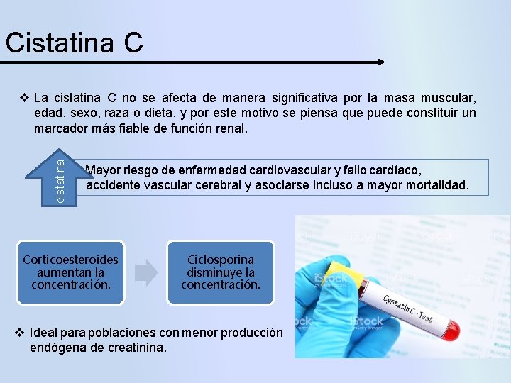 Cistatina C cistatina v La cistatina C no se afecta de manera significativa por