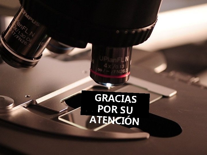 GRACIAS POR SU ATENCIÓN 