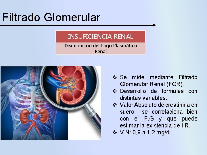 Filtrado Glomerular INSUFICIENCIA RENAL Disminución del Flujo Plasmático Renal v Se mide mediante Filtrado