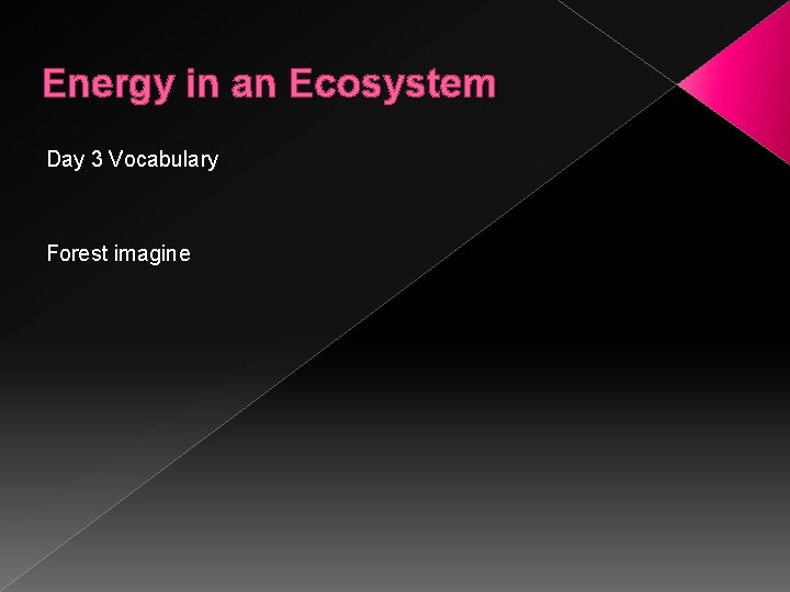 Energy in an Ecosystem Day 3 Vocabulary Forest imagine 