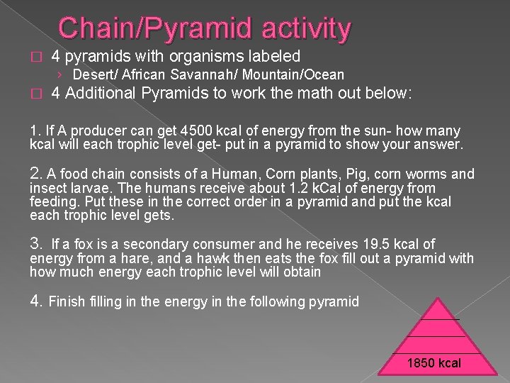 Chain/Pyramid activity � 4 pyramids with organisms labeled › Desert/ African Savannah/ Mountain/Ocean �
