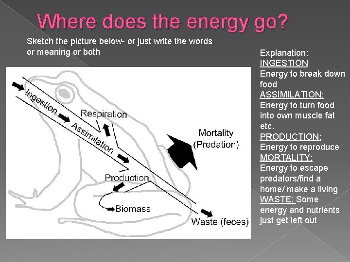 Where does the energy go? Sketch the picture below- or just write the words