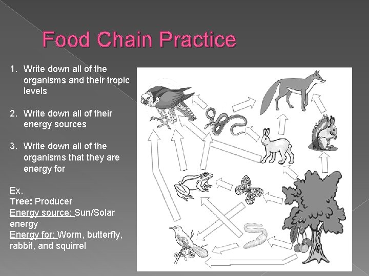 Food Chain Practice 1. Write down all of the organisms and their tropic levels
