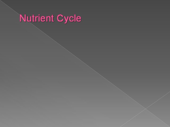 Nutrient Cycle 
