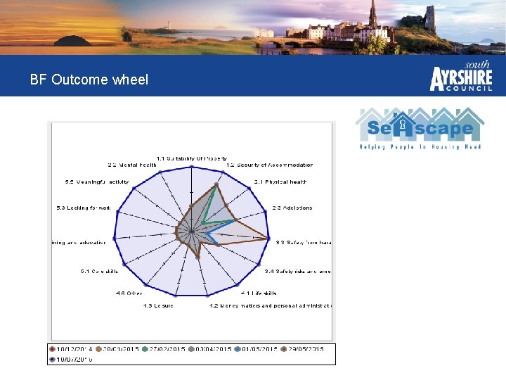 BF Outcome wheel 