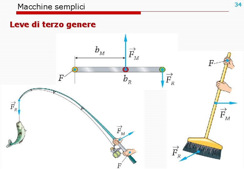 Macchine semplici Leve di terzo genere 34 