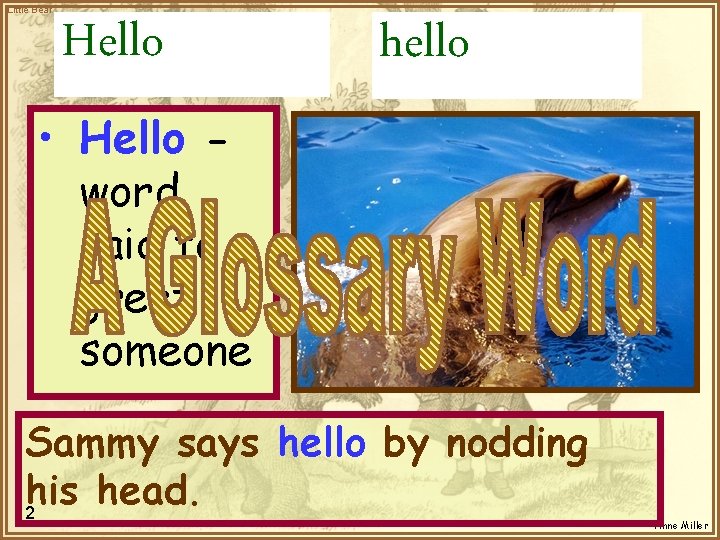 Little Bear Hello hello • Hello word said to greet someone Sammy says hello