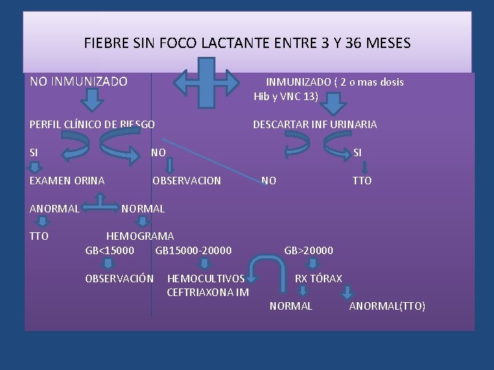 FIEBRE SIN FOCO LACTANTE ENTRE 3 Y 36 MESES NO INMUNIZADO ( 2 o