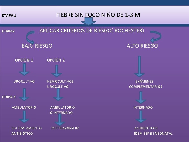 FIEBRE SIN FOCO NIÑO DE 1 -3 M ETAPA 1 APLICAR CRITERIOS DE RIESGO(