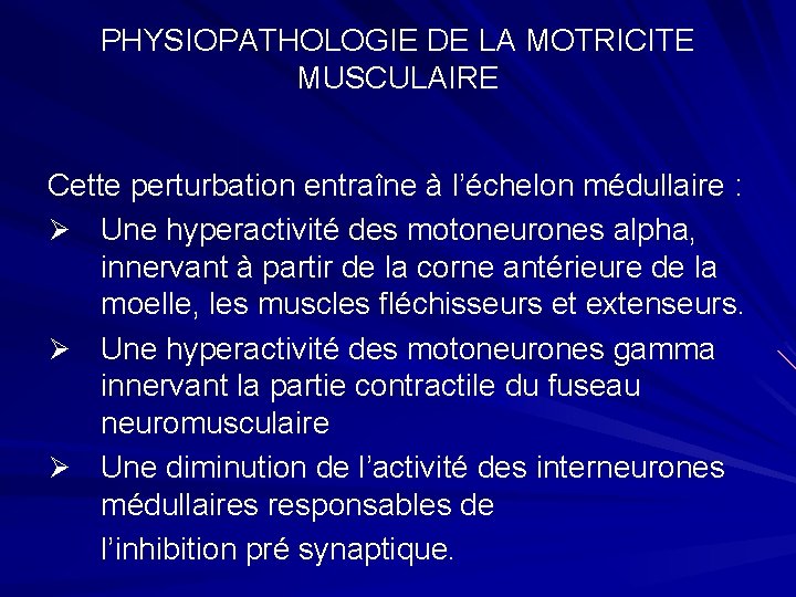 PHYSIOPATHOLOGIE DE LA MOTRICITE MUSCULAIRE Cette perturbation entraîne à l’échelon médullaire : Ø Une