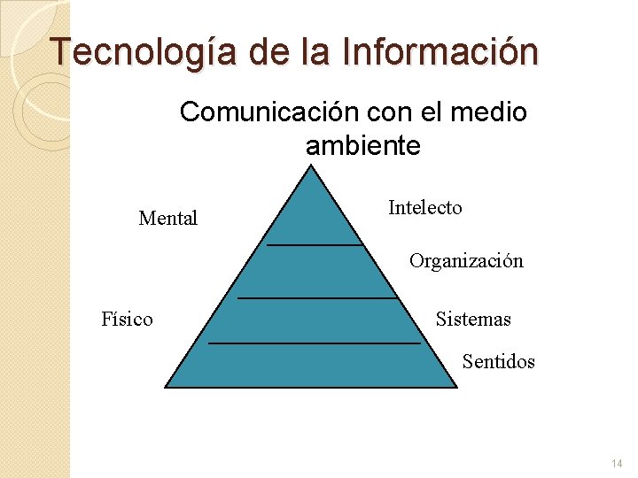 Tecnología de la Información Comunicación con el medio ambiente Mental Intelecto Organización Físico Sistemas