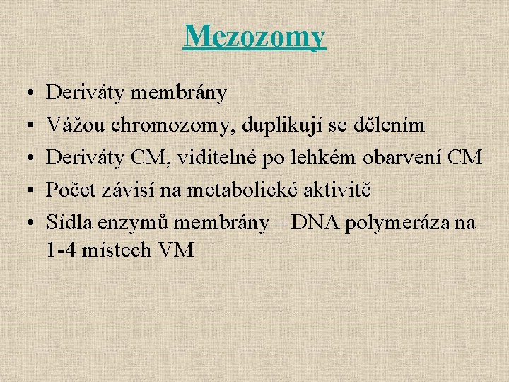 Mezozomy • • • Deriváty membrány Vážou chromozomy, duplikují se dělením Deriváty CM, viditelné