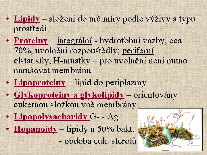  • Lipidy – složení do urč. míry podle výživy a typu prostředí •