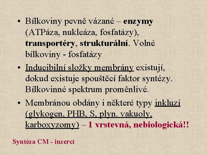  • Bílkoviny pevně vázané – enzymy (ATPáza, nukleáza, fosfatázy), transportéry, strukturální. Volné bílkoviny