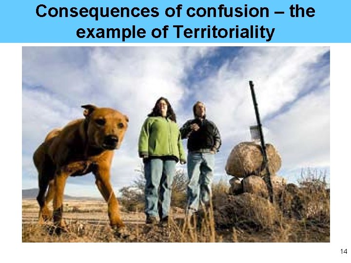 Consequences of confusion – the example of Territoriality 14 