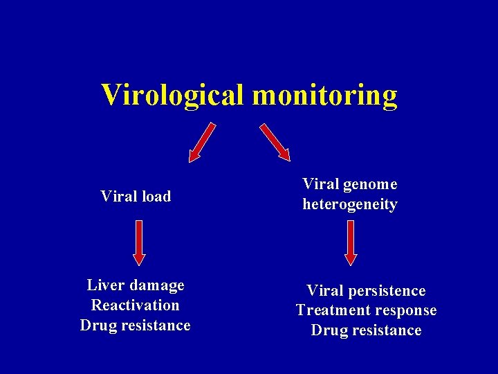 Virological monitoring Viral load Liver damage Reactivation Drug resistance Viral genome heterogeneity Viral persistence