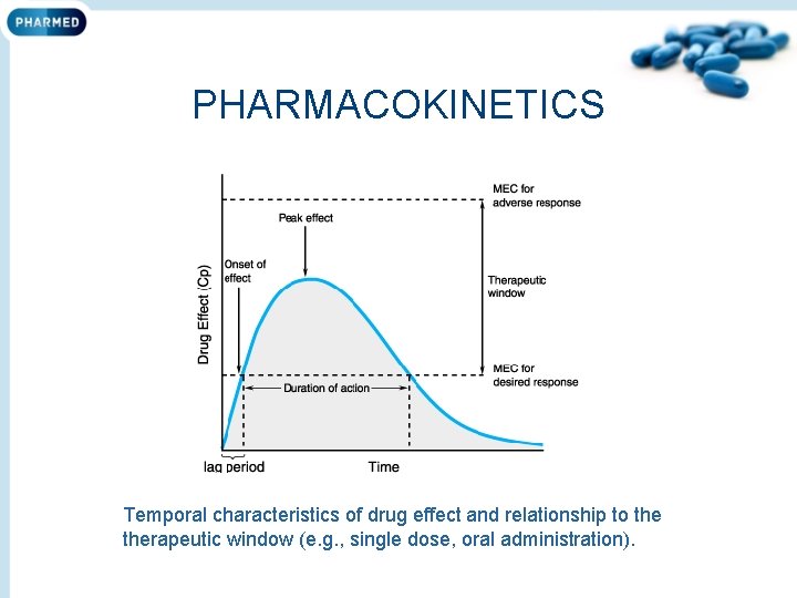 PHARMACOKINETICS Temporal characteristics of drug effect and relationship to therapeutic window (e. g. ,