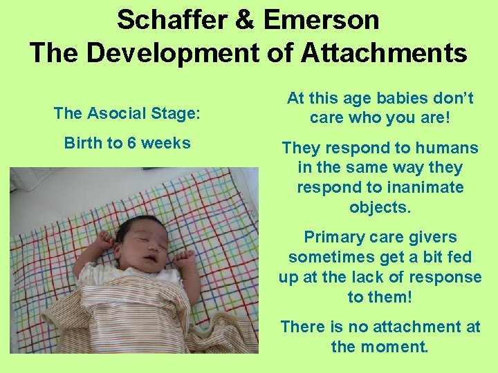 Schaffer & Emerson The Development of Attachments The Asocial Stage: Birth to 6 weeks