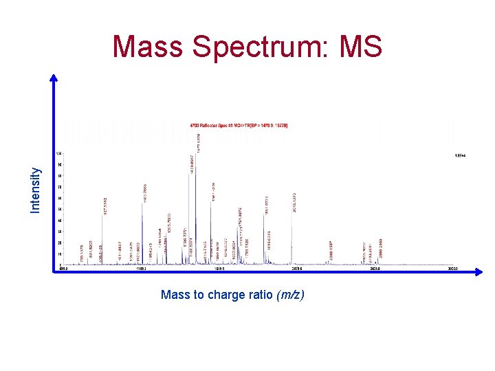 Intensity Mass Spectrum: MS Mass to charge ratio (m/z) 