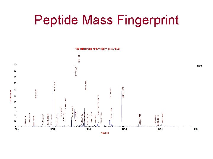 Peptide Mass Fingerprint 