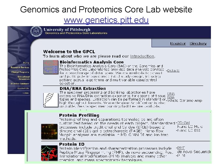 Genomics and Proteomics Core Lab website www. genetics. pitt. edu 