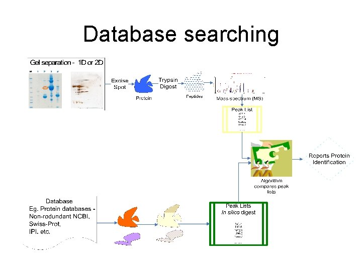 Database searching 