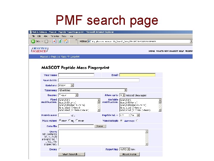 PMF search page 