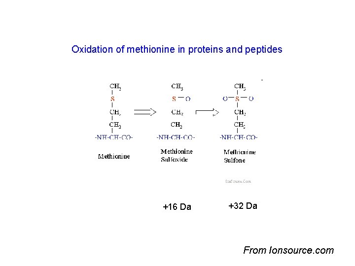 Oxidation of methionine in proteins and peptides +16 Da +32 Da From Ionsource. com