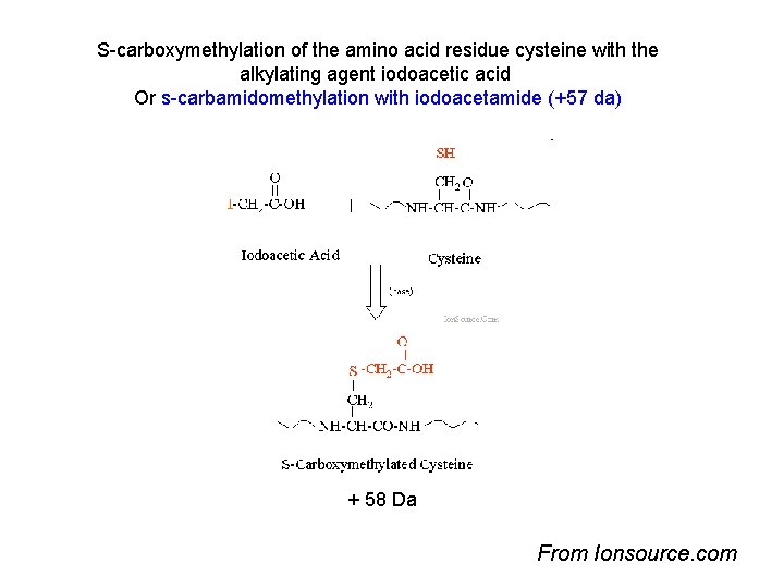 S-carboxymethylation of the amino acid residue cysteine with the alkylating agent iodoacetic acid Or