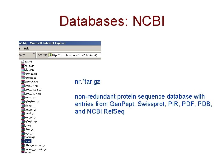 Databases: NCBI nr. *tar. gz non-redundant protein sequence database with entries from Gen. Pept,