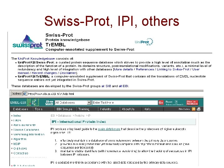 Swiss-Prot, IPI, others 