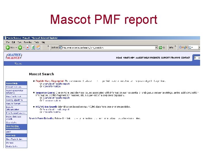 Mascot PMF report 
